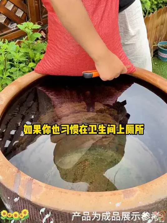 碗莲茶杯就能养 遇水即活 四季常伴您身旁
