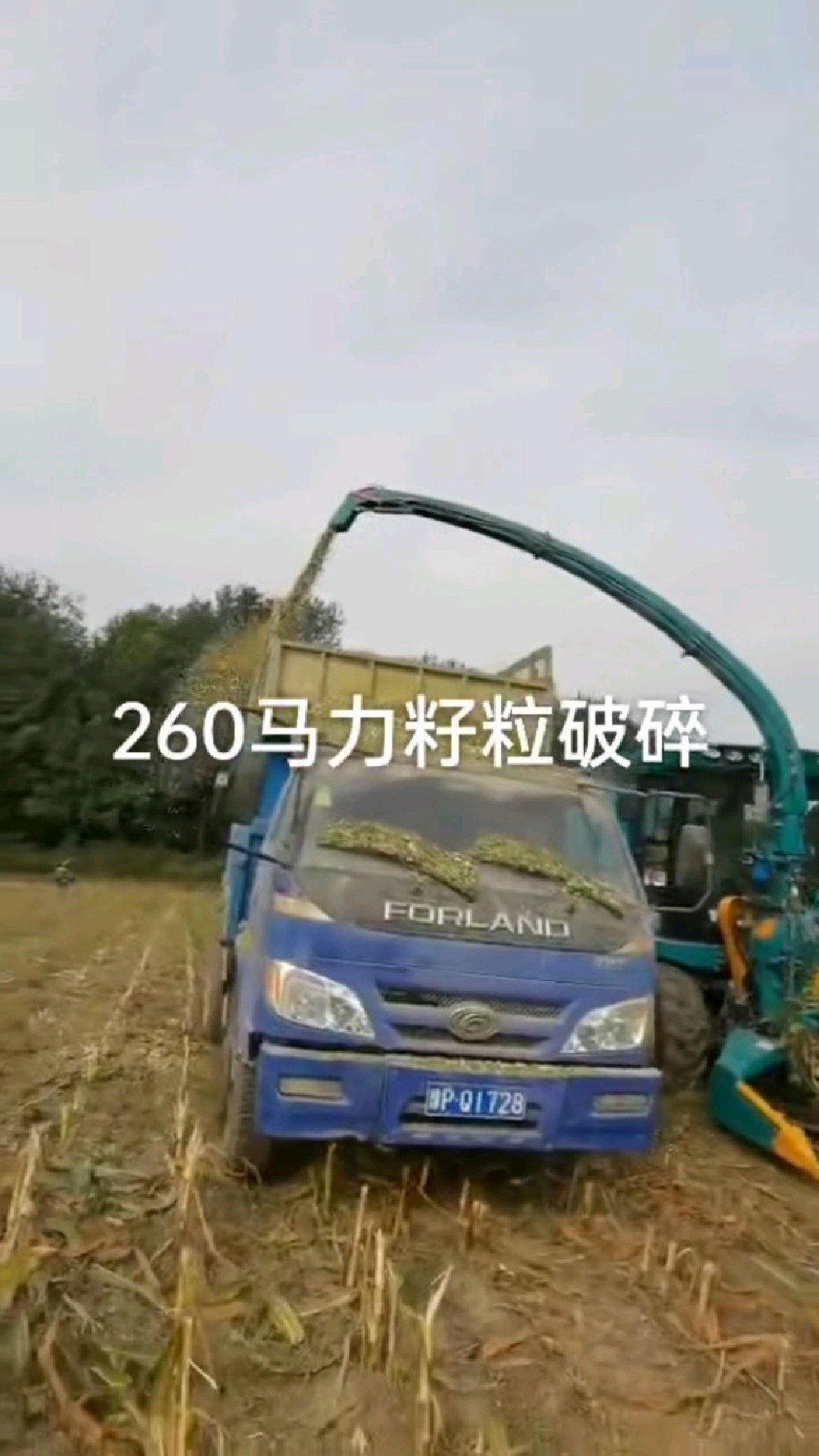 青贮饲料收获机籽粒破碎
