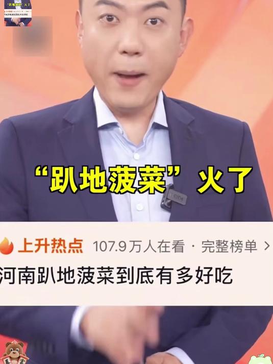 河南霜打趴地菠菜，红根厚叶清甜无涩，清炒免焯水