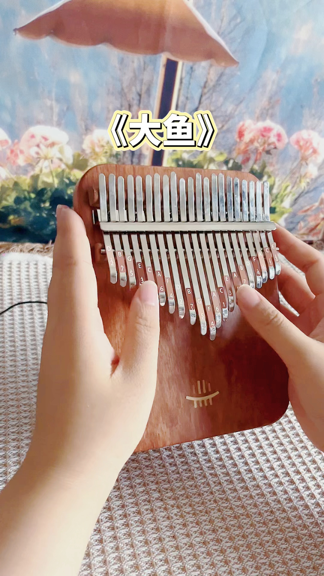 《大鱼》拇指琴演奏