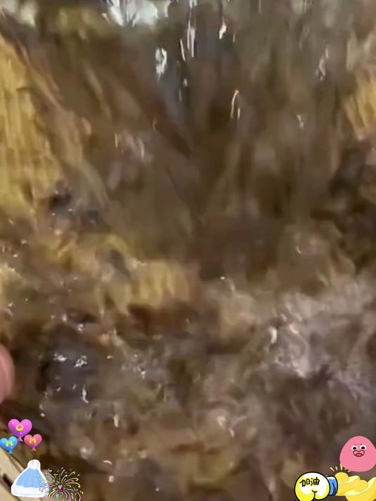 高钙小虾皮,替代鸡精味精,天然提鲜超安心