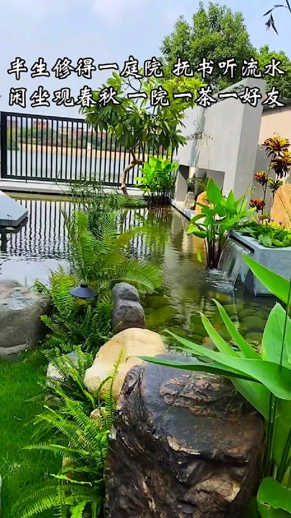 有院子一定要有鱼池,有鱼池一定要建一座假山,看看这个院子漂亮吗?