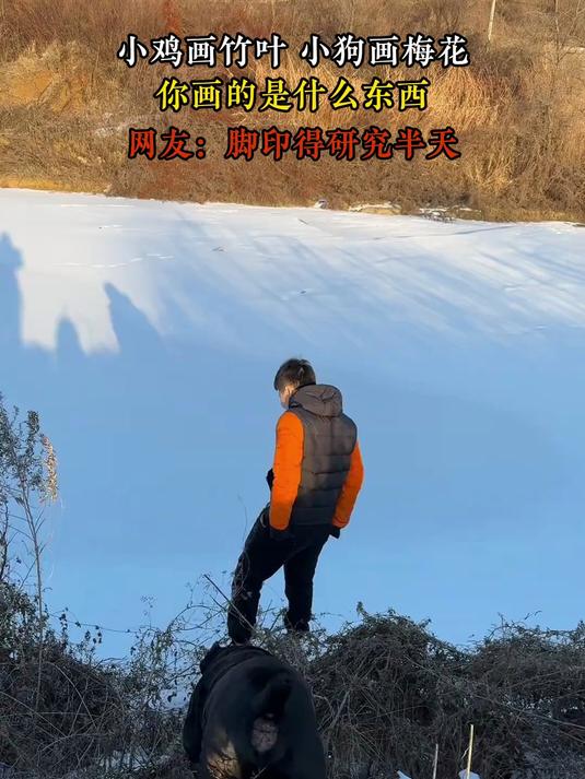 小鸡画竹叶 小狗画梅花,你画的是什么东西