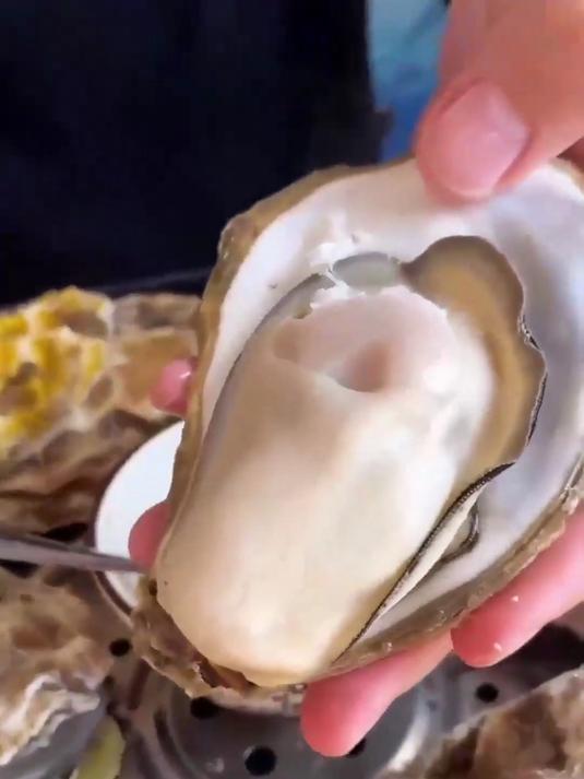 懒人下饭菜!乳山生蚝鲜嫩无腥,炒鸡蛋鲜掉魂