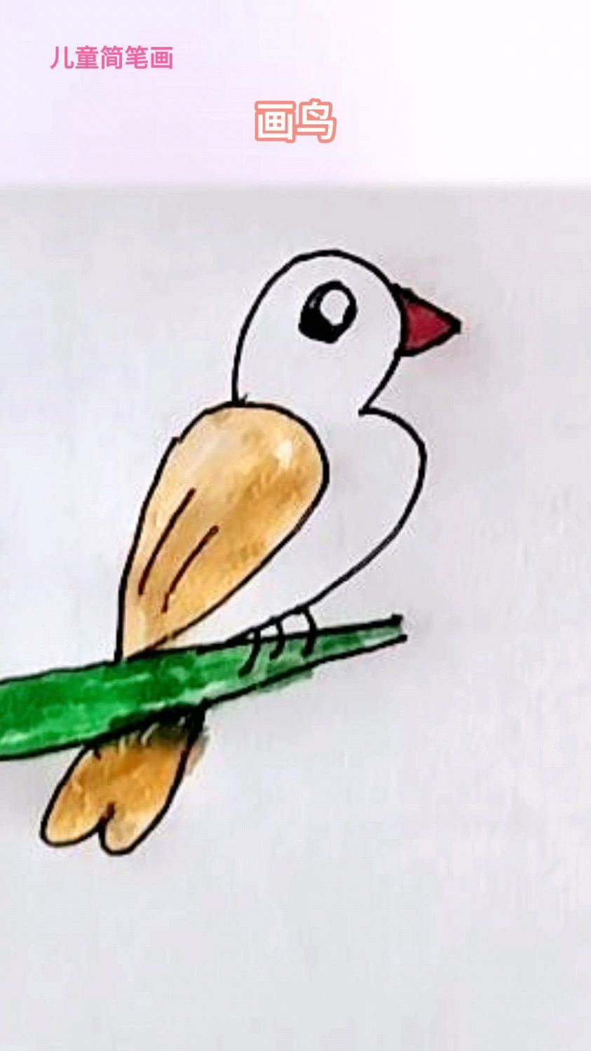 儿童简笔画画鸟