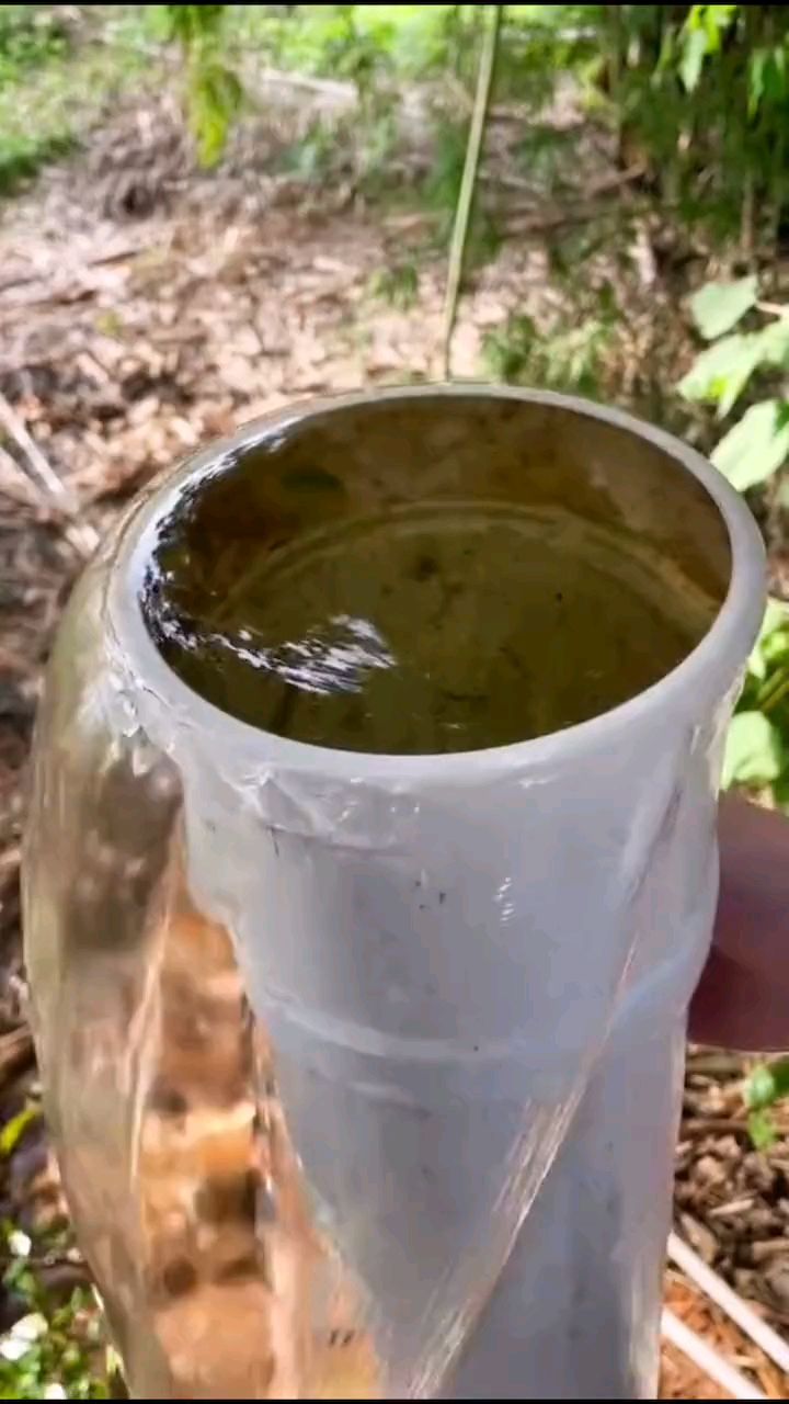 【高密度养鱼】高位鱼池排污效果|新型养殖模式排水口如何设置?