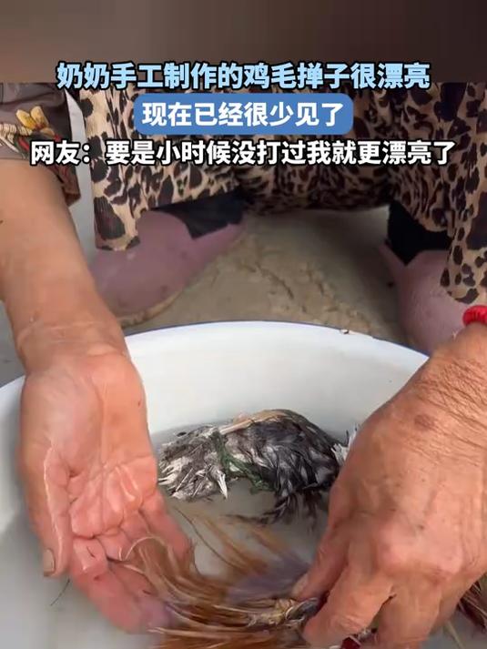 奶奶手工制作的鸡毛掸子很漂亮,现在已经很少见了