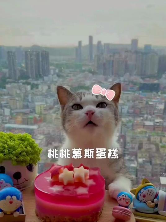 香嫩可口的桃桃慕斯蛋糕