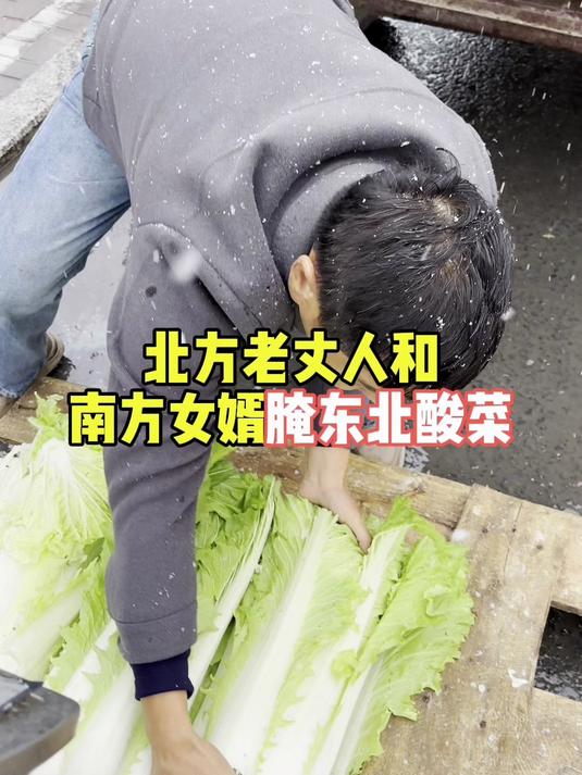 北方老丈人和南方女婿东北腌酸菜