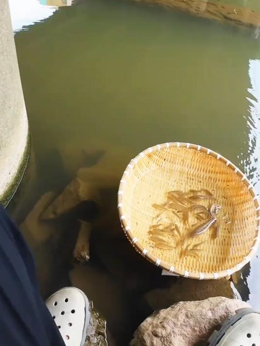 玩具钓鱼猛出货,可爱多多真有趣,师傅们还不来一套