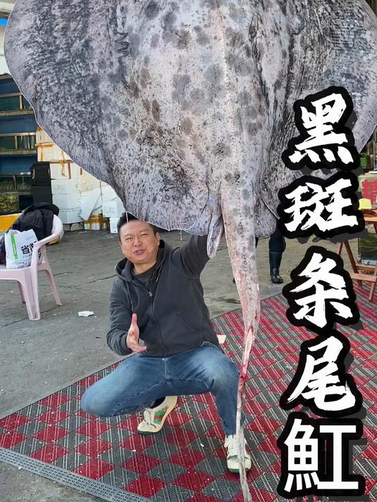 一魟二虎,三沙毛四金鼓黑斑条尾魟。做个麻辣水煮鱼尝尝