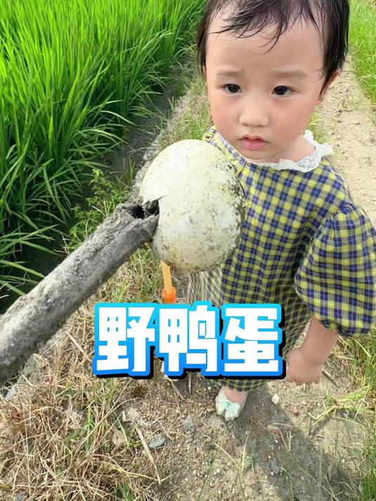 豆豆在田里发现了一个鸭蛋！不过好像来晚了已经臭了呢！儿童启蒙