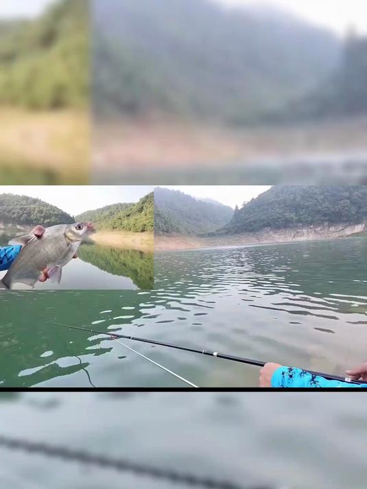 怎样钓武昌鱼,钓鱼技巧