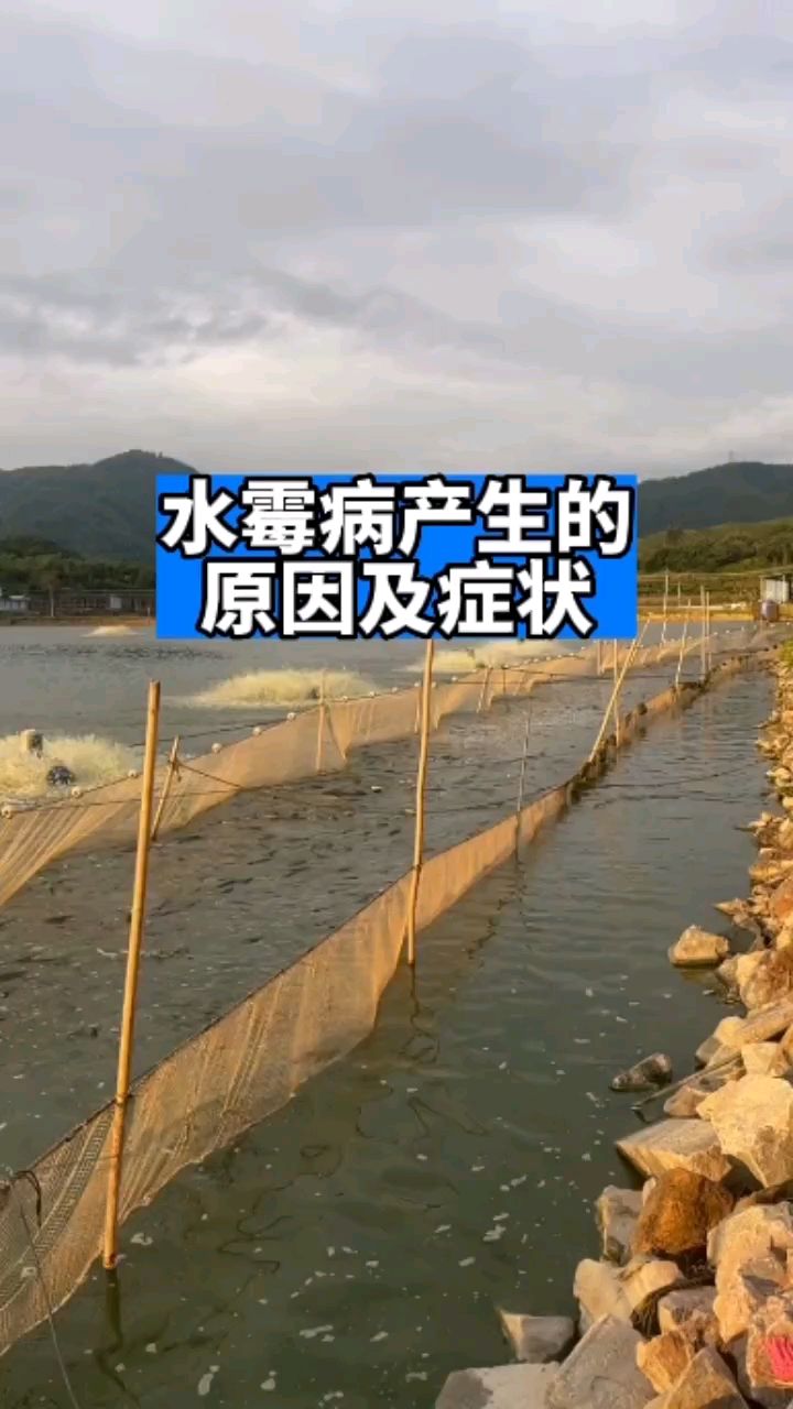水霉病产生的原因
