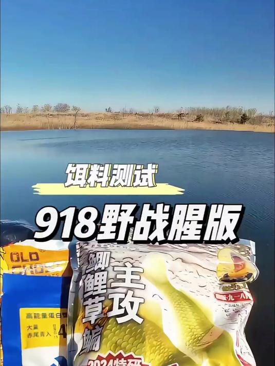 冬季野钓饵料谁才是真正的鲫鱼之王