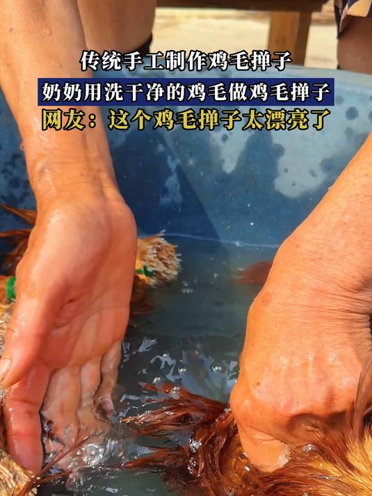 传统手工制作鸡毛掸子，奶奶用洗干净的鸡毛做鸡毛掸子
