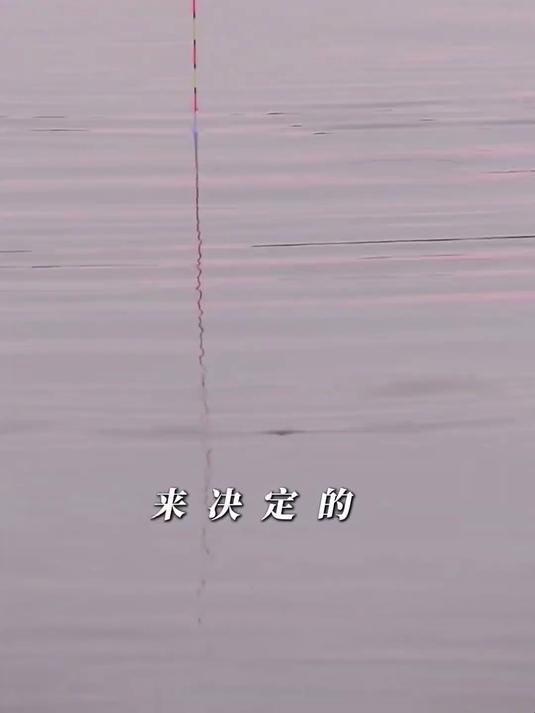 挂蚯蚓钓黄骨鱼鲶鱼,到底要不要调漂