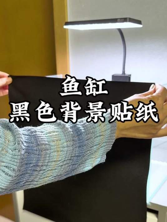 鱼缸贴黑背景好处多:发色好、安全感强、不跳缸