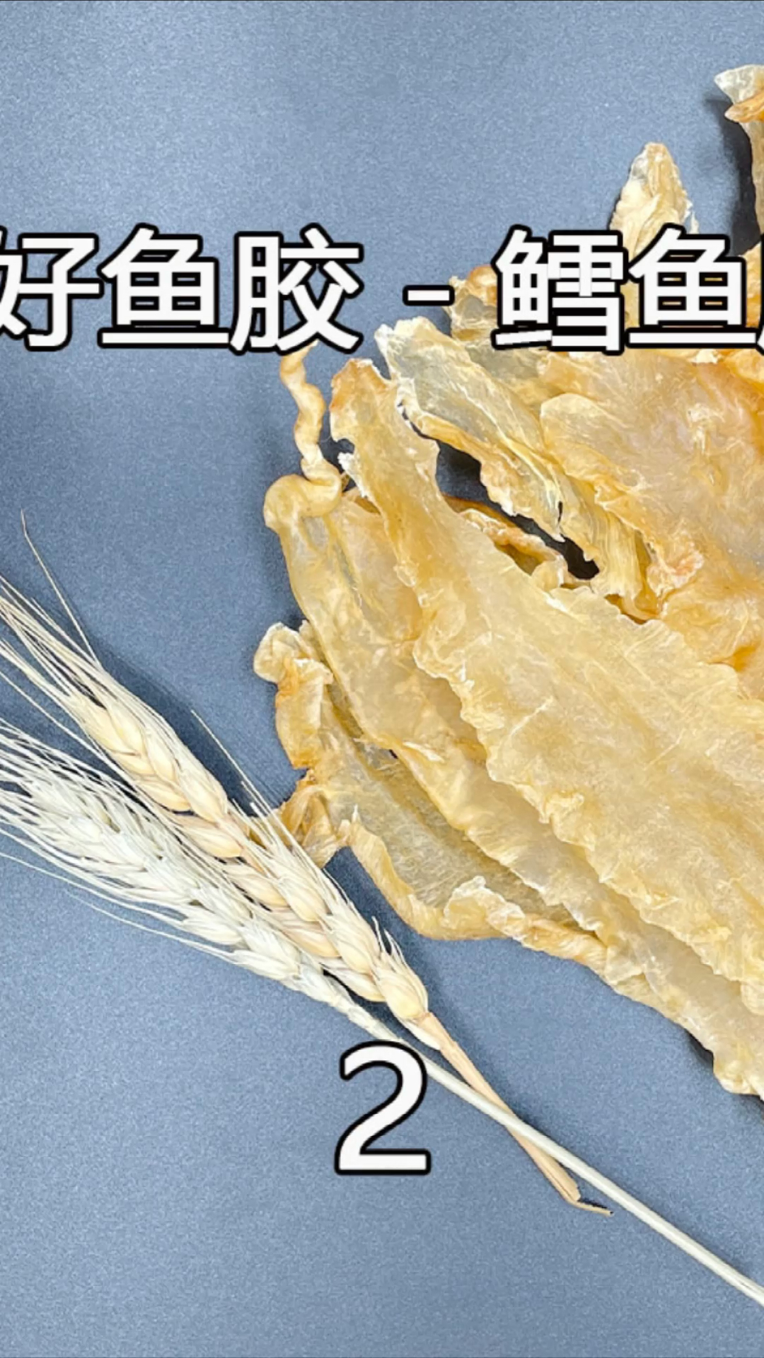 如何挑选好鳕鱼胶第二节