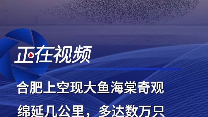 合肥上空现大鱼海棠奇观:绵延几公里,多达数万只