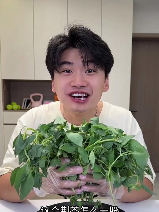 挑战一天只吃荆芥