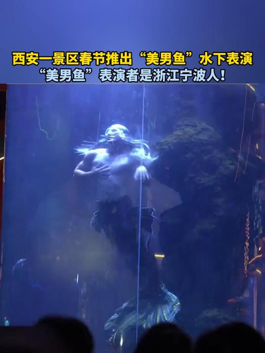 一景区春节推出“美男鱼”水下表演“美男鱼”表演者是浙江宁波人