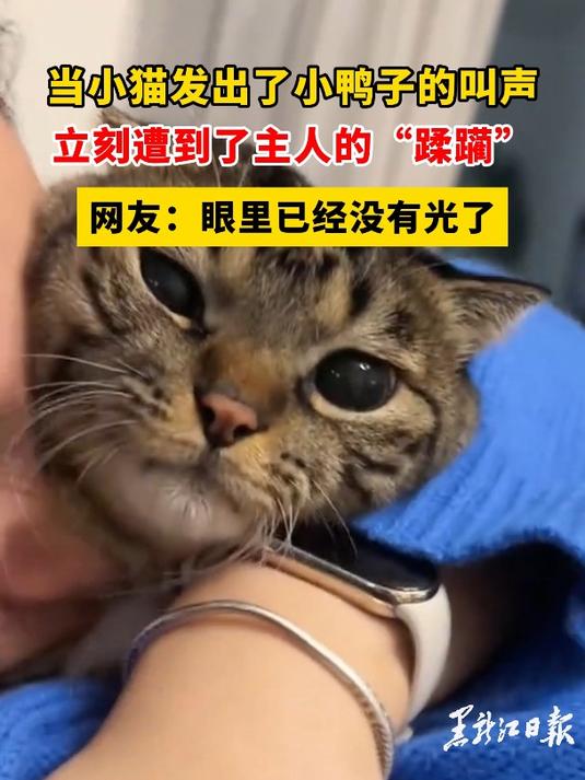 当小猫发出了小鸭子的叫声,立刻遭到了主人的“蹂躏”,网友:眼里已经没有光了