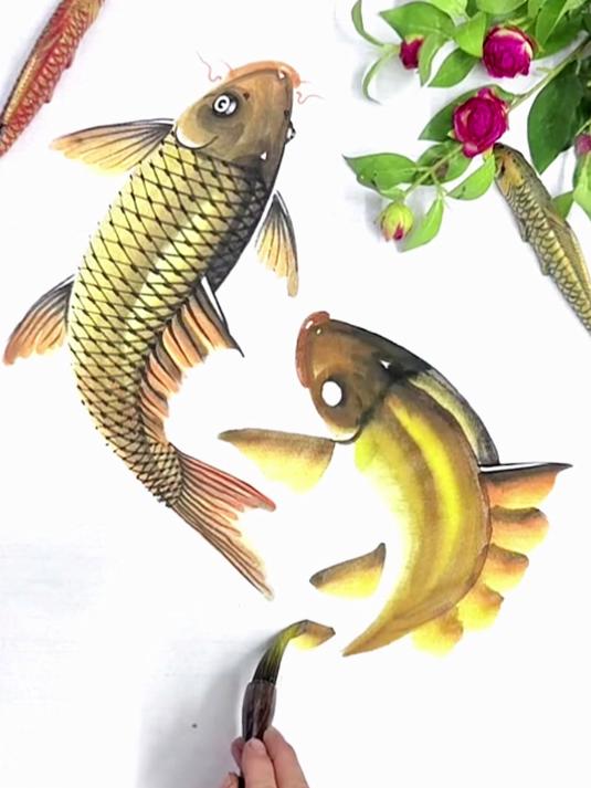黄河大鲤鱼