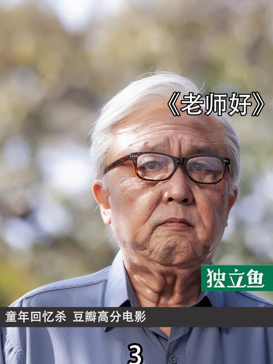 致敬老师!老师好 回忆杀 高分电影