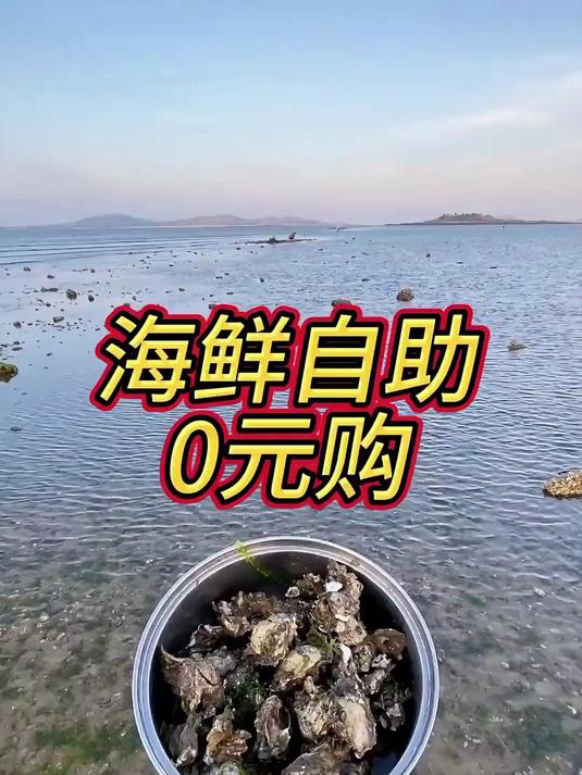 海鲜自助免费吃，带上小蒸锅，赶海随便抓