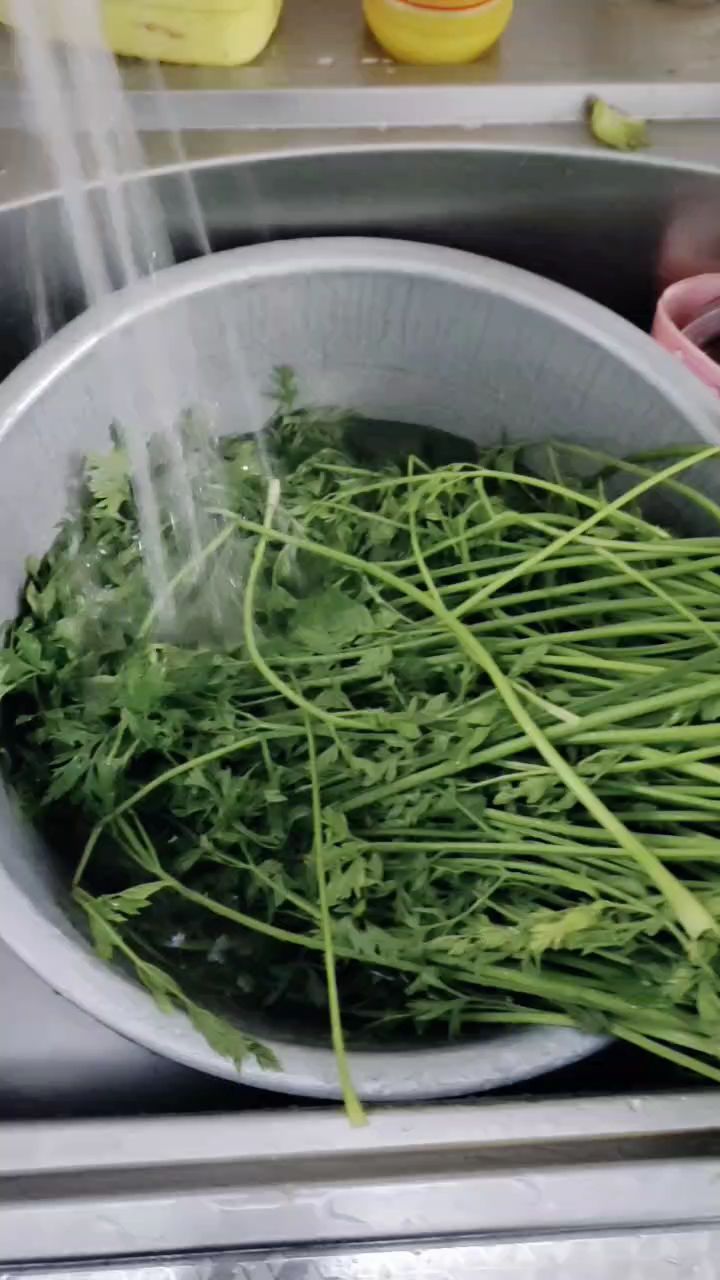 冬日红萝卜叶子做麦饭香香香
