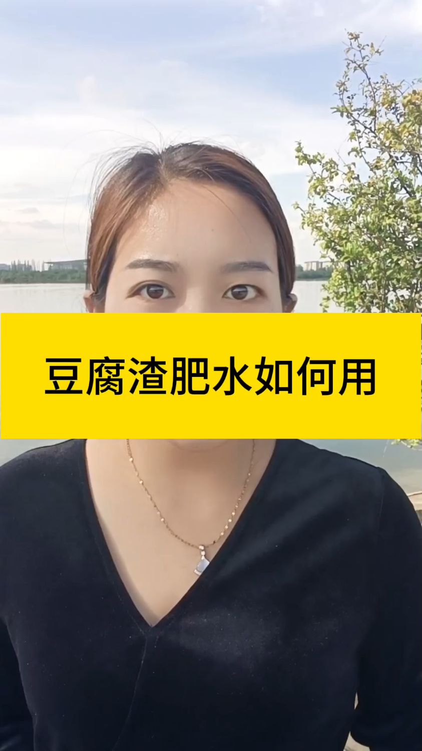 豆腐渣肥水如何使用