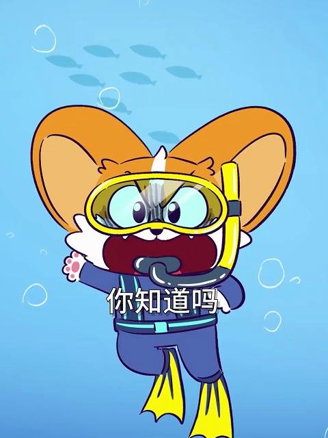 海里最傻的鱼！有多好笑？