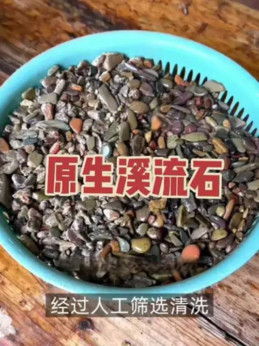 鱼缸放溪流石 效果超棒 观赏鱼新家高大上