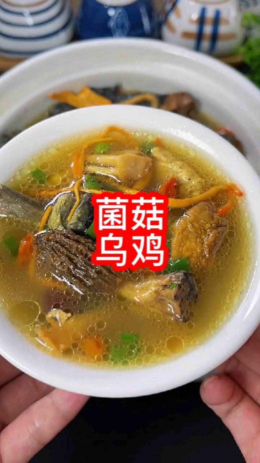七彩菌菇乌鸡汤