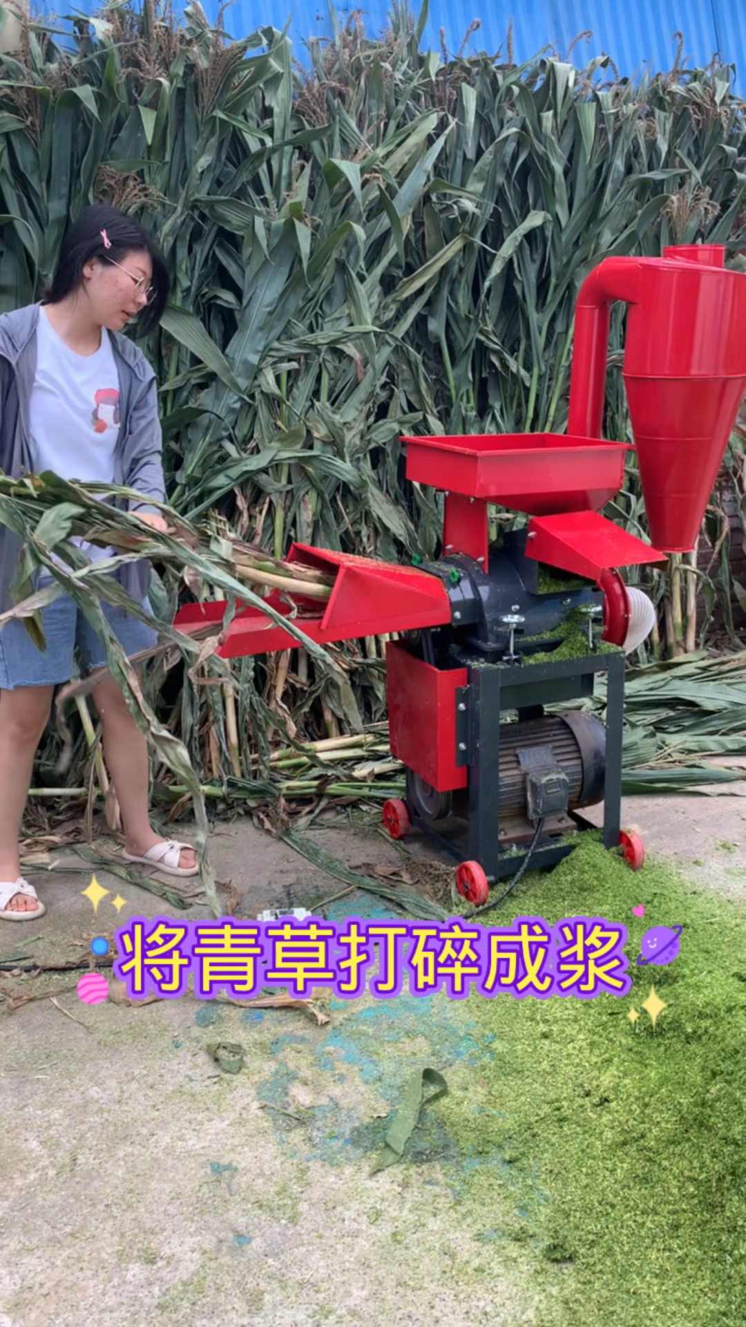 第6代养猪神器家用小型超细牧草打浆机适合养猪鸡鸭鹅鸵鸟兔可以粉碎青草干草五谷杂粮