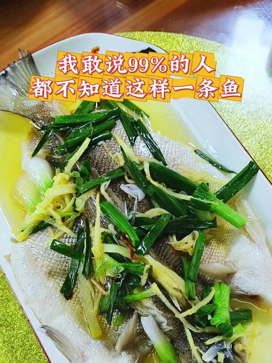 一条从澳洲引进的银鲈鱼