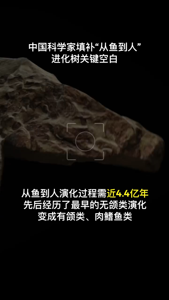 重大突破!中国科学家填补“从鱼到人”进化树关键空白!(人民网)
