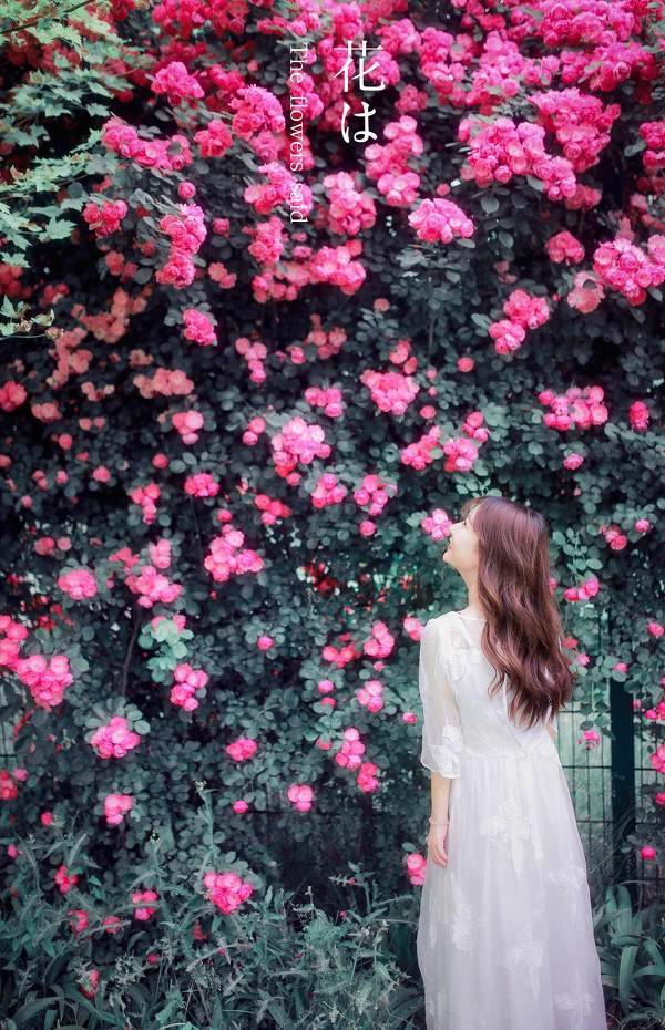 图片[14]-花儿说-六色网