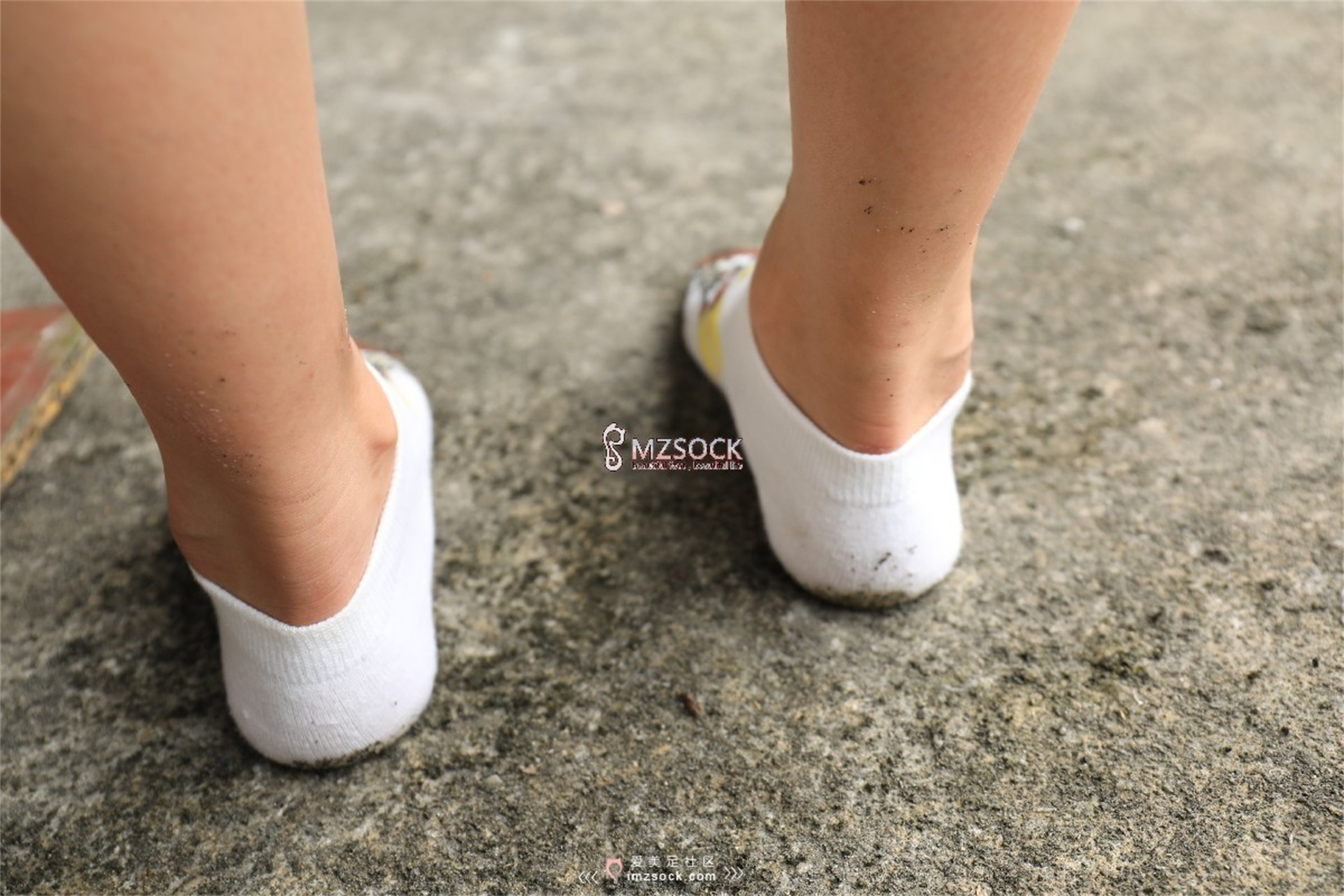 图片[83]-[MZSOCK]爱美足 NO.049 悦悦[122P403M]-六色网