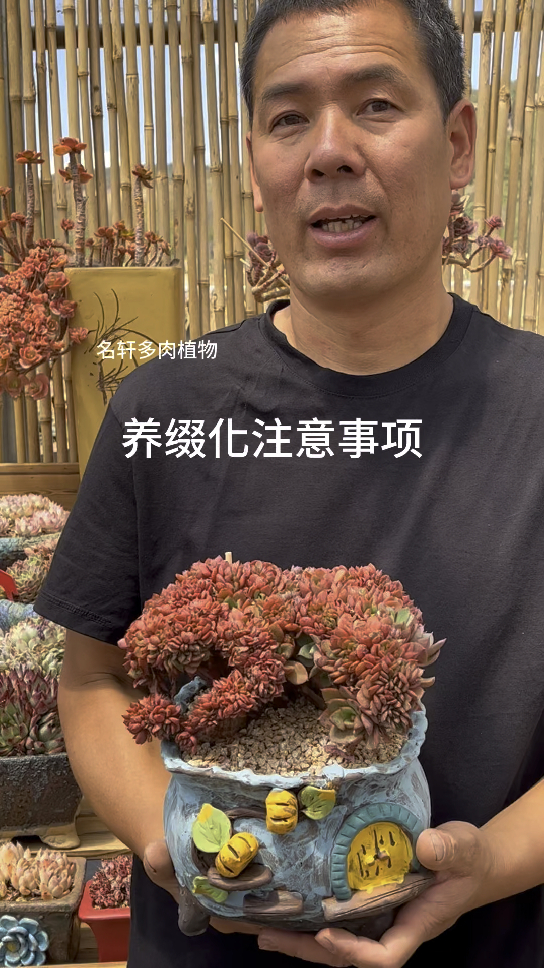 多肉植物缀化注意事项