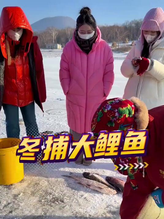 东北冬捕大鲤鱼!想吃三花一岛