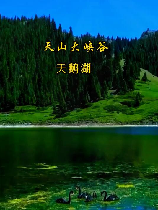 新疆天山大峡谷的天鹅湖,山清水秀,风景如画