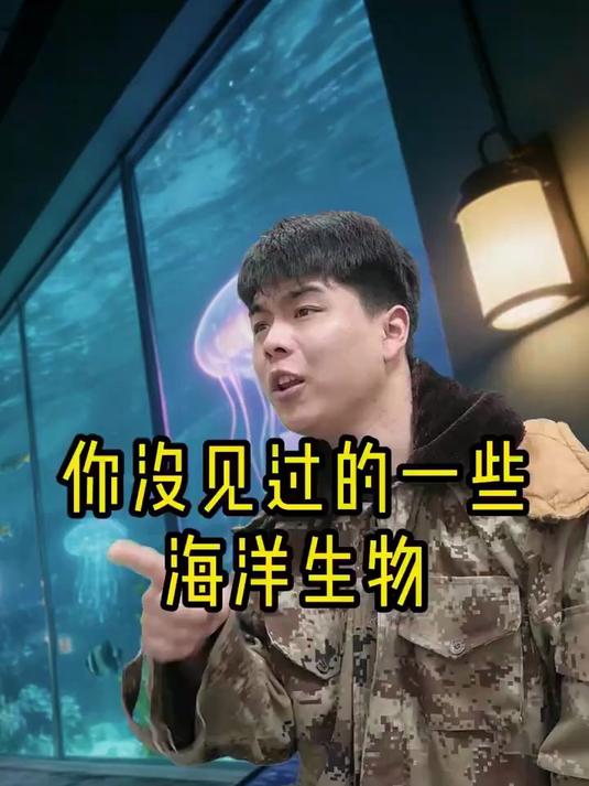你没见过的一些海洋生物