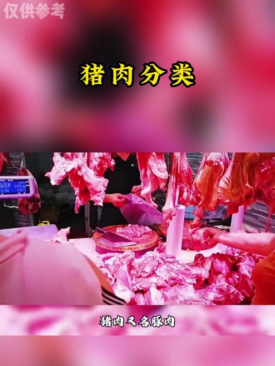 养生科普:猪肉分类