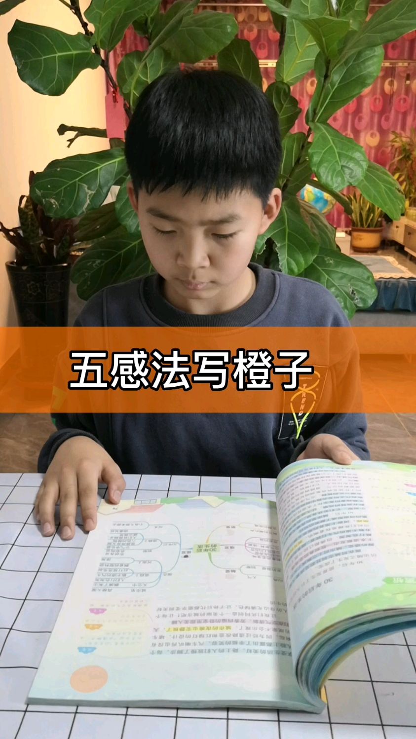 很多孩子作文无话可写,不妨试试五感法,从一个简单的词很快就变成优美的句子和段落