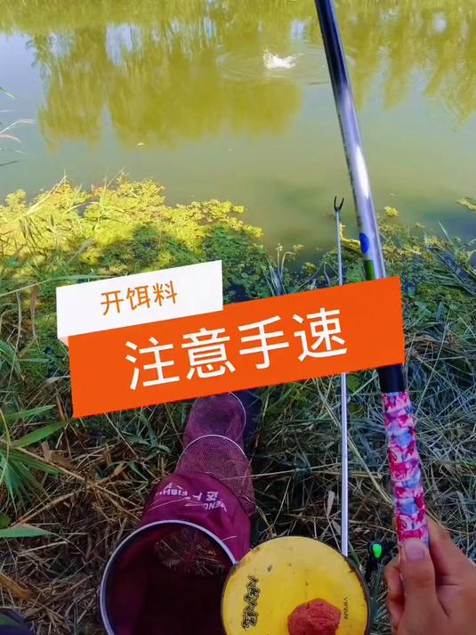 开饵手速决定鱼获?独家配方让鱼群疯狂咬钩