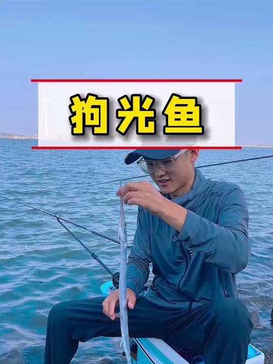 钓海鱼连杆,这是什么鱼?