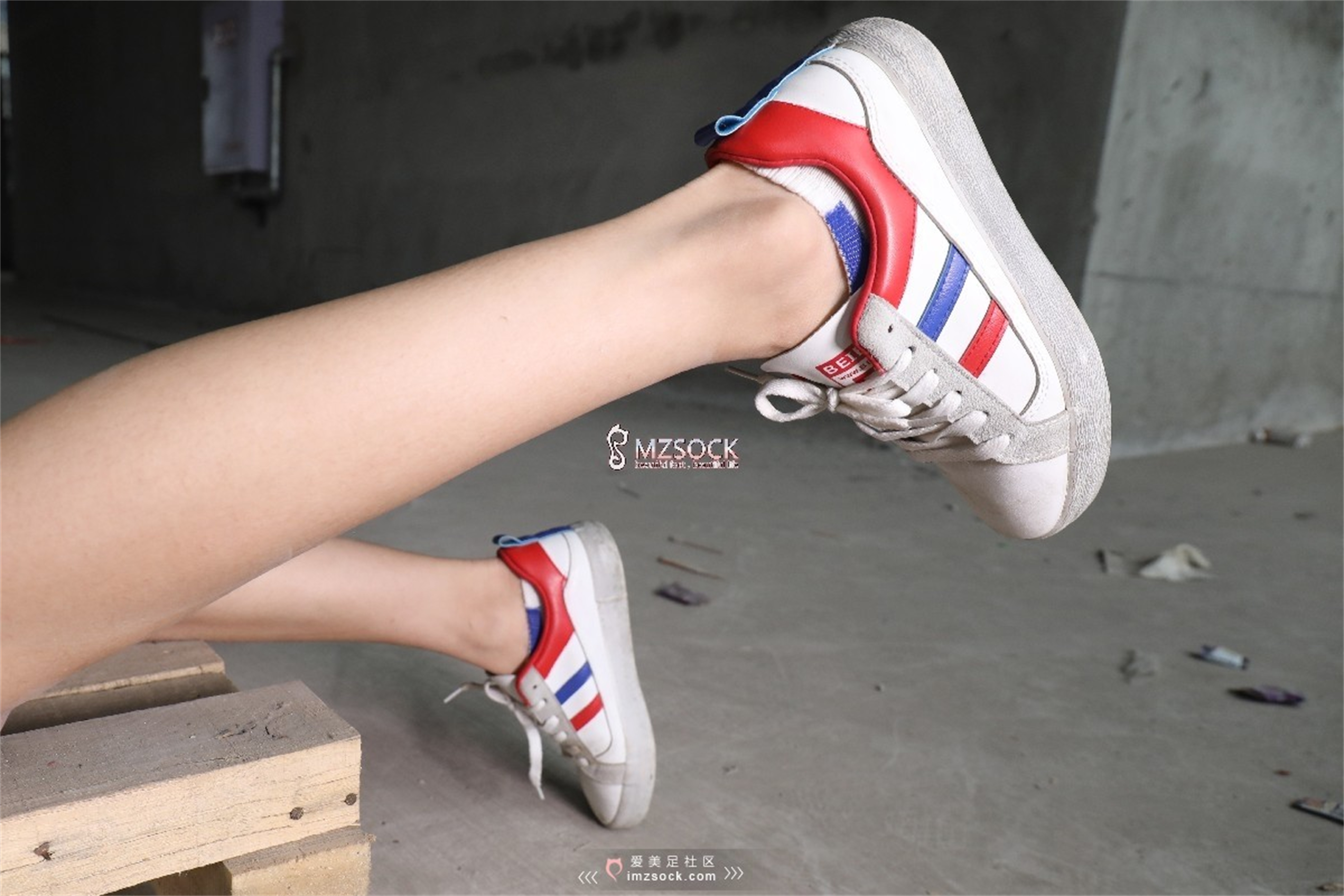 图片[101]-[MZSOCK]爱美足 NO.066 叮叮[102P238M]-六色网