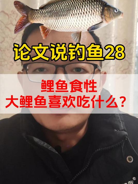 鲤鱼食性,大鲤鱼喜欢吃什么?